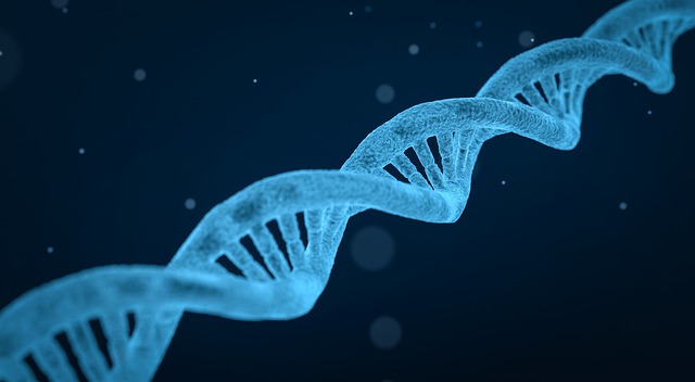Genetica