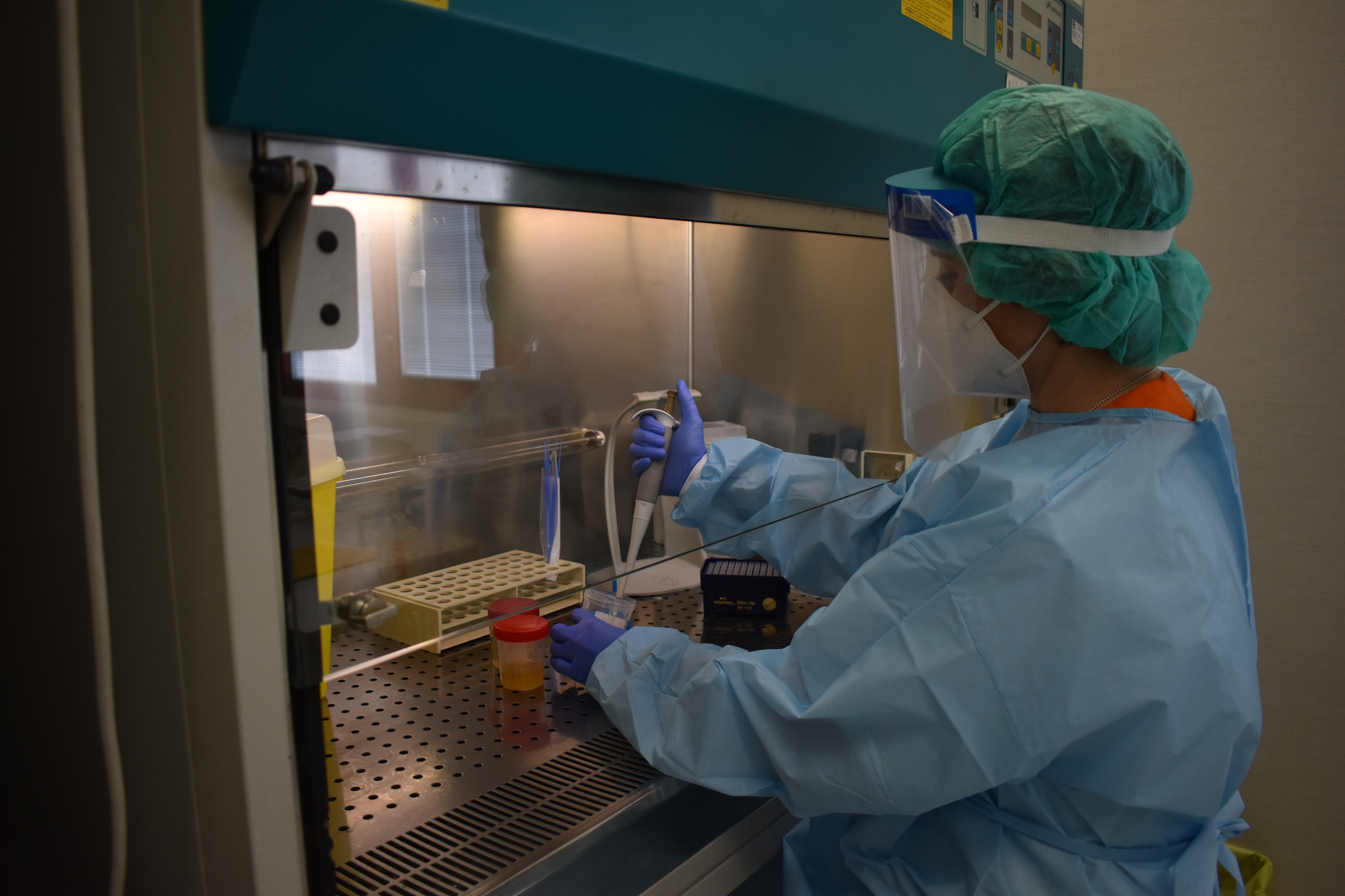 laboratorio