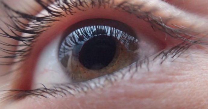 occhio cornea