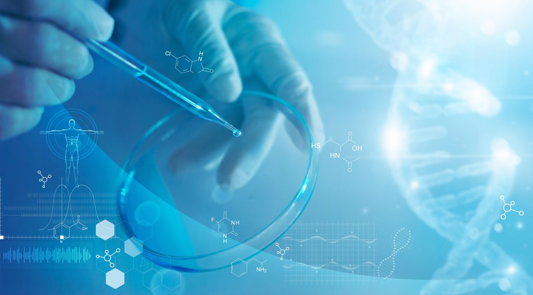 ricerca biologia
