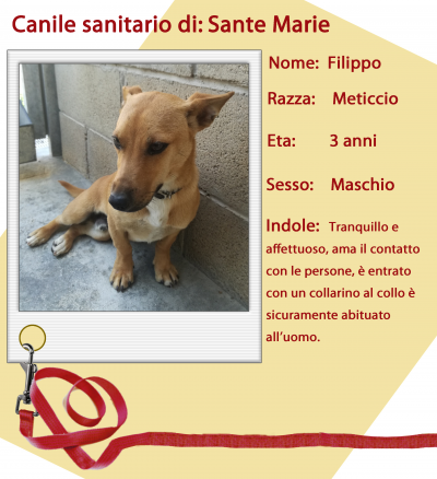 Filippo